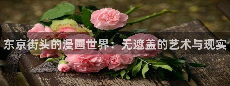 漫蛙2024：东京街头的漫画世界：无遮盖的艺术与现实