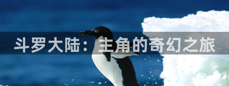 漫蛙18：斗罗大陆：主角的奇幻之旅