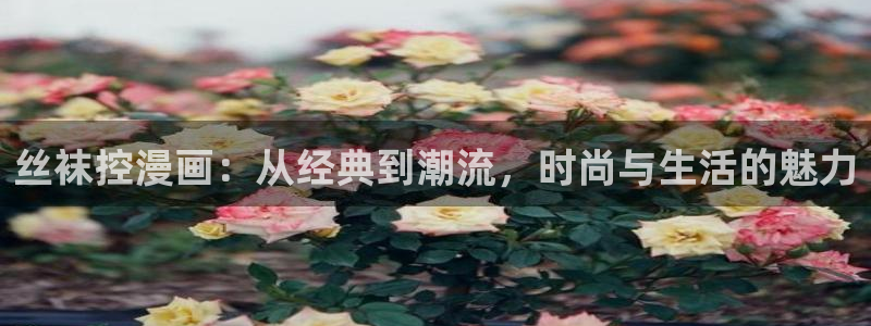 漫蛙版本大全：丝袜控漫画：从经典到潮流，时尚与生活的魅力