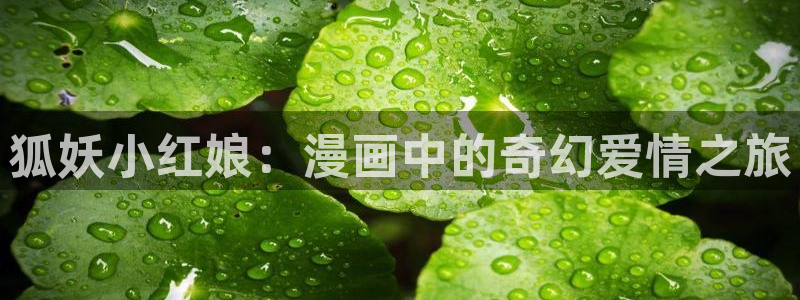 漫蛙2漫画官网app：狐妖小红娘：漫画中的奇幻爱情之旅