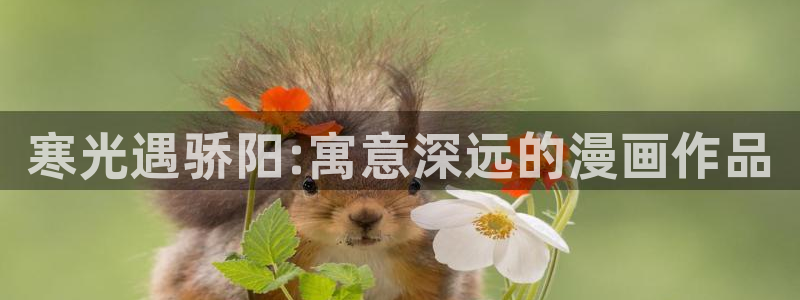 漫蛙漫画官方页面免费漫：寒光遇骄阳:寓意深远的漫画作品