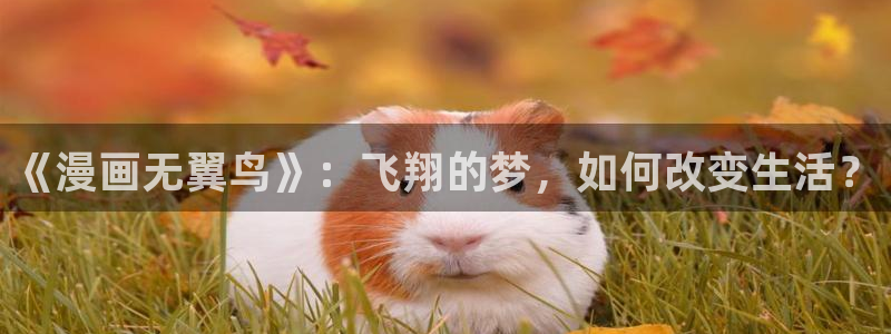 腾牛网漫蛙2：《漫画无翼鸟》：飞翔的梦，如何改变生活？