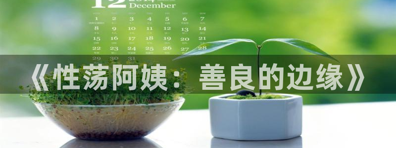 漫蛙免费版下载安装：《性荡阿姨：善良的边缘》