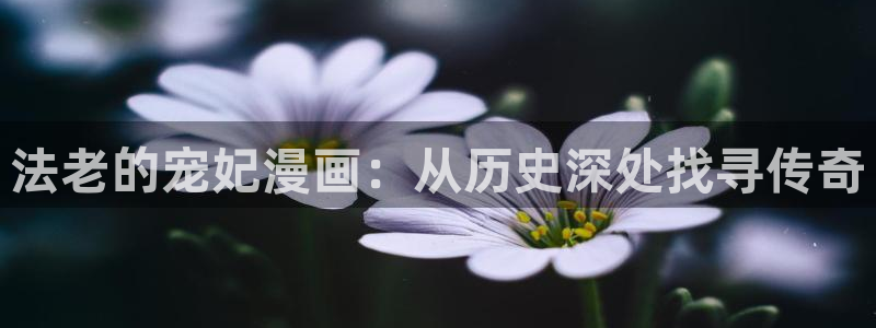 漫蛙manwa2正版下载：法老的宠妃漫画：从历史深处找寻传奇